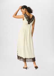 Petite Lace V Neck Spot Midi Dress