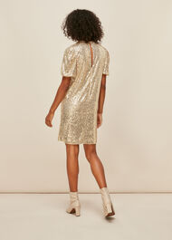 Sequin Shift Dress