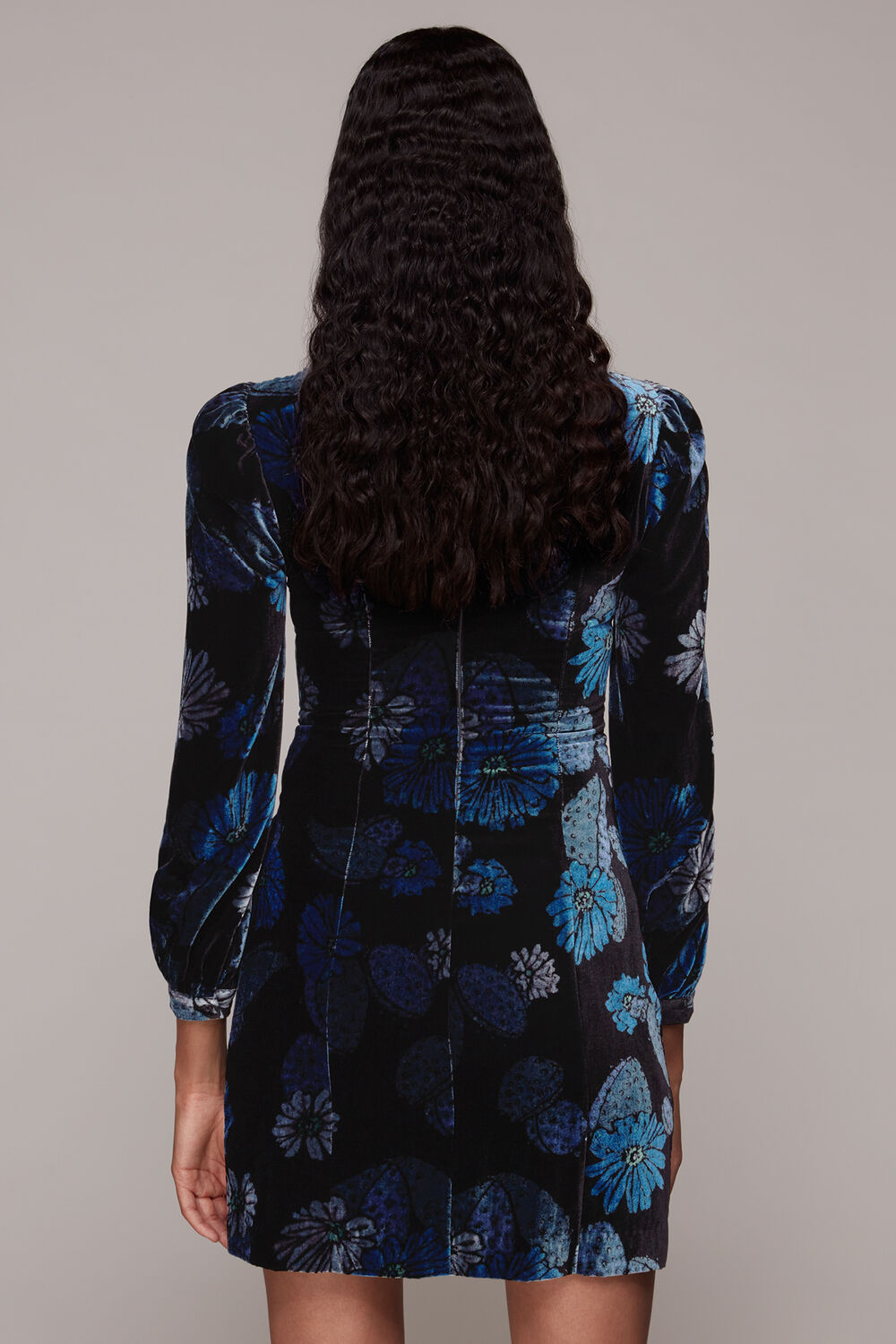 Cactus Print Velvet Dress