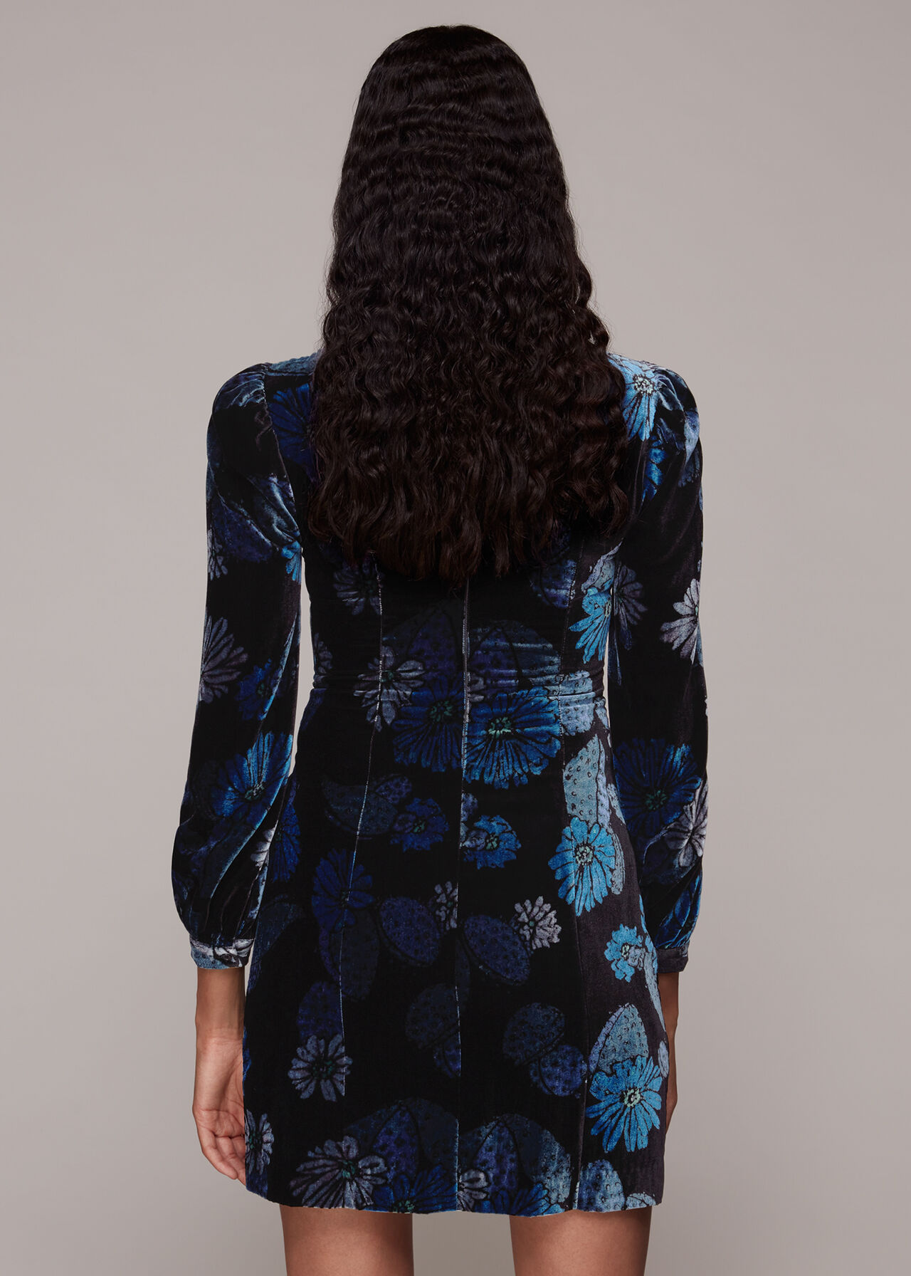 Blue/Multi Cactus Print Velvet Dress, WHISTLES