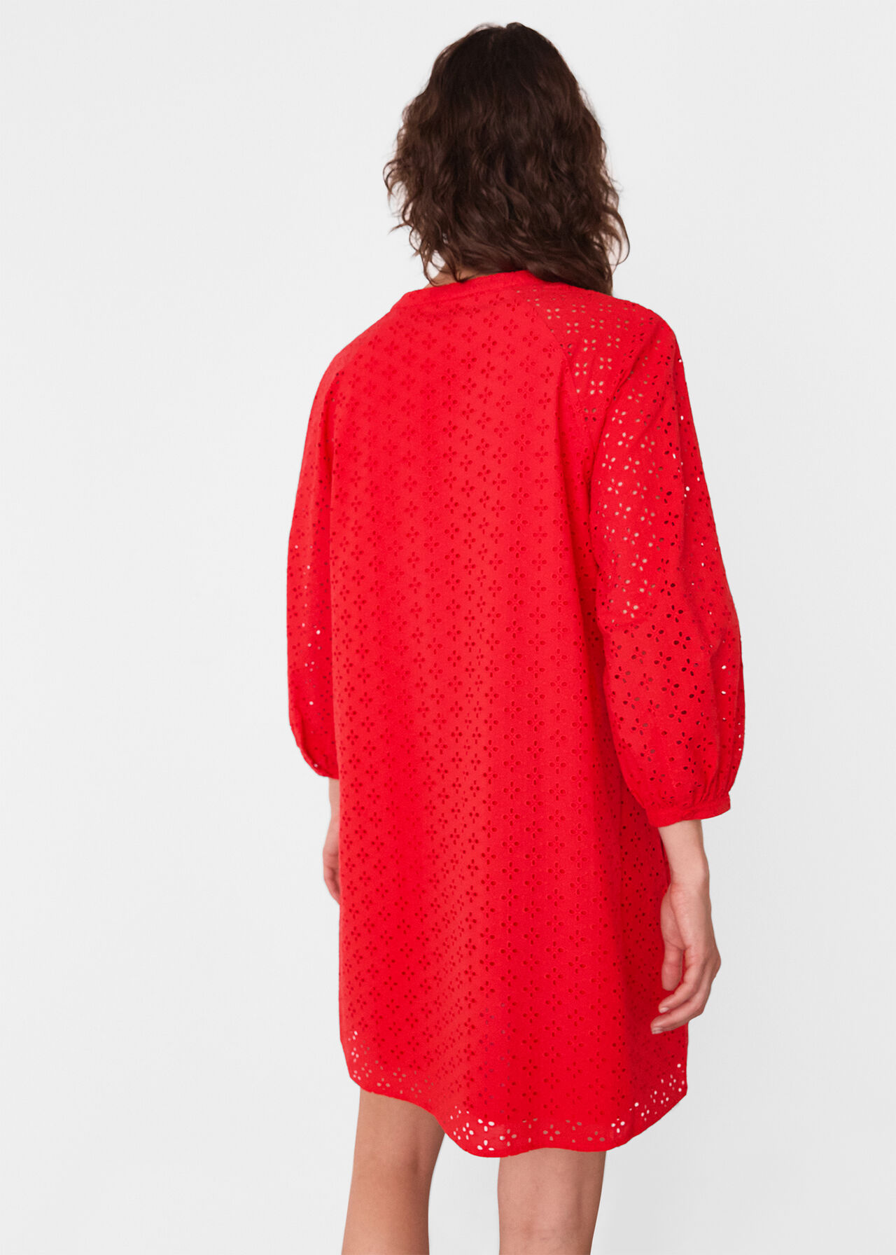 Broderie Cotton Mini Dress