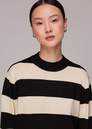 Stripe High Neck Sweater