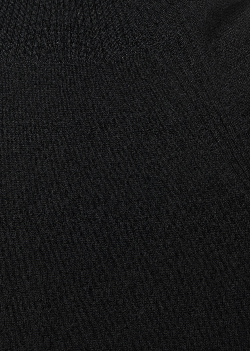 Petite Cashmere Roll Neck