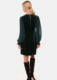 Velvet Pleated Sleeve Dress