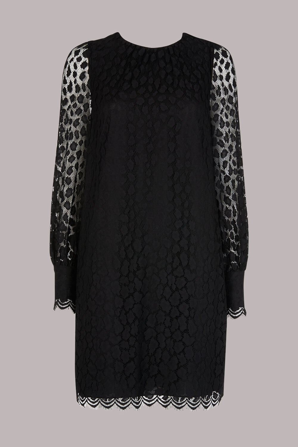 Animal Lace Tie Detail Dress