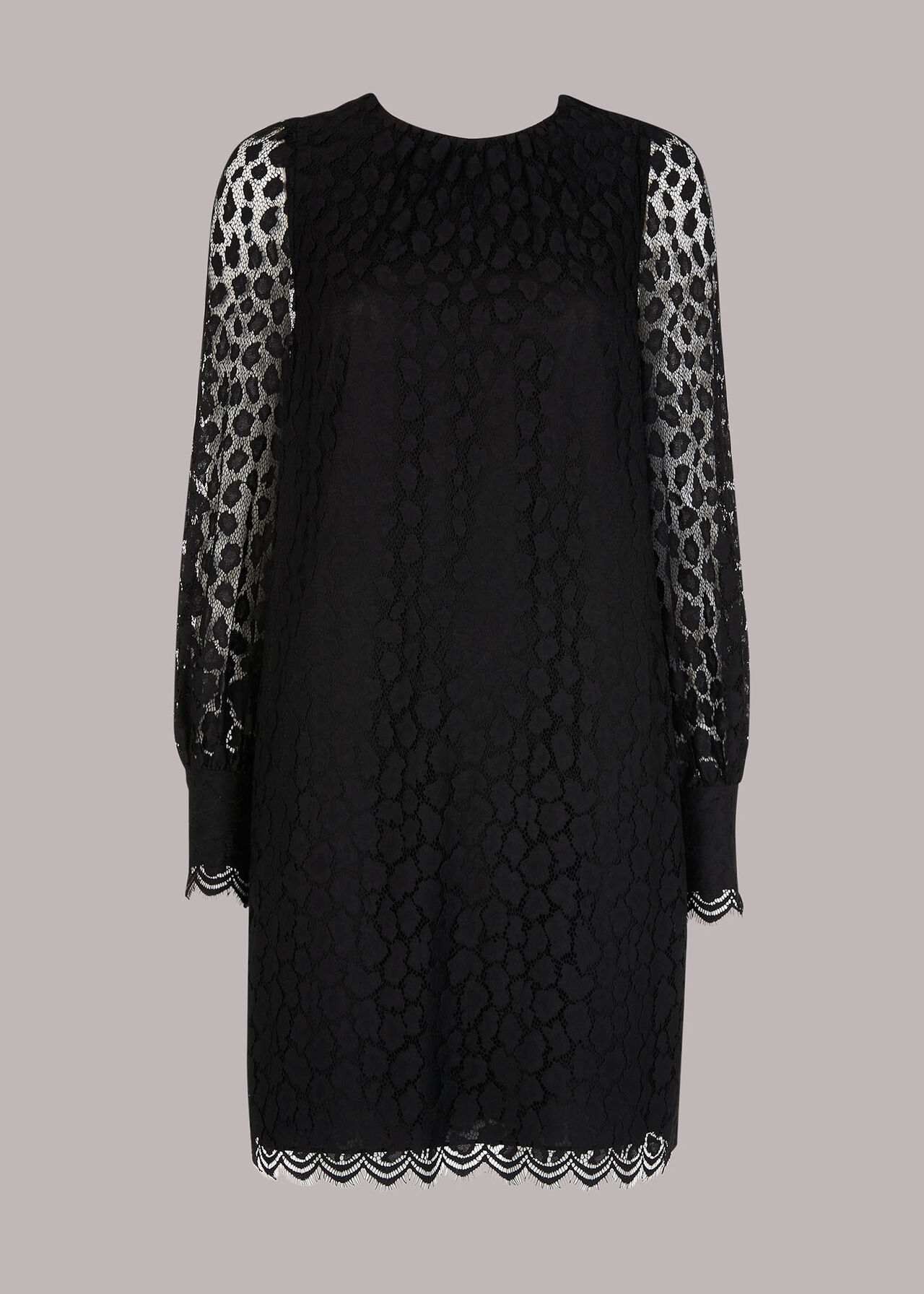 Animal Lace Tie Detail Dress