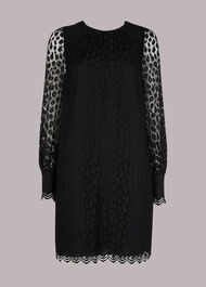 Animal Lace Tie Detail Dress