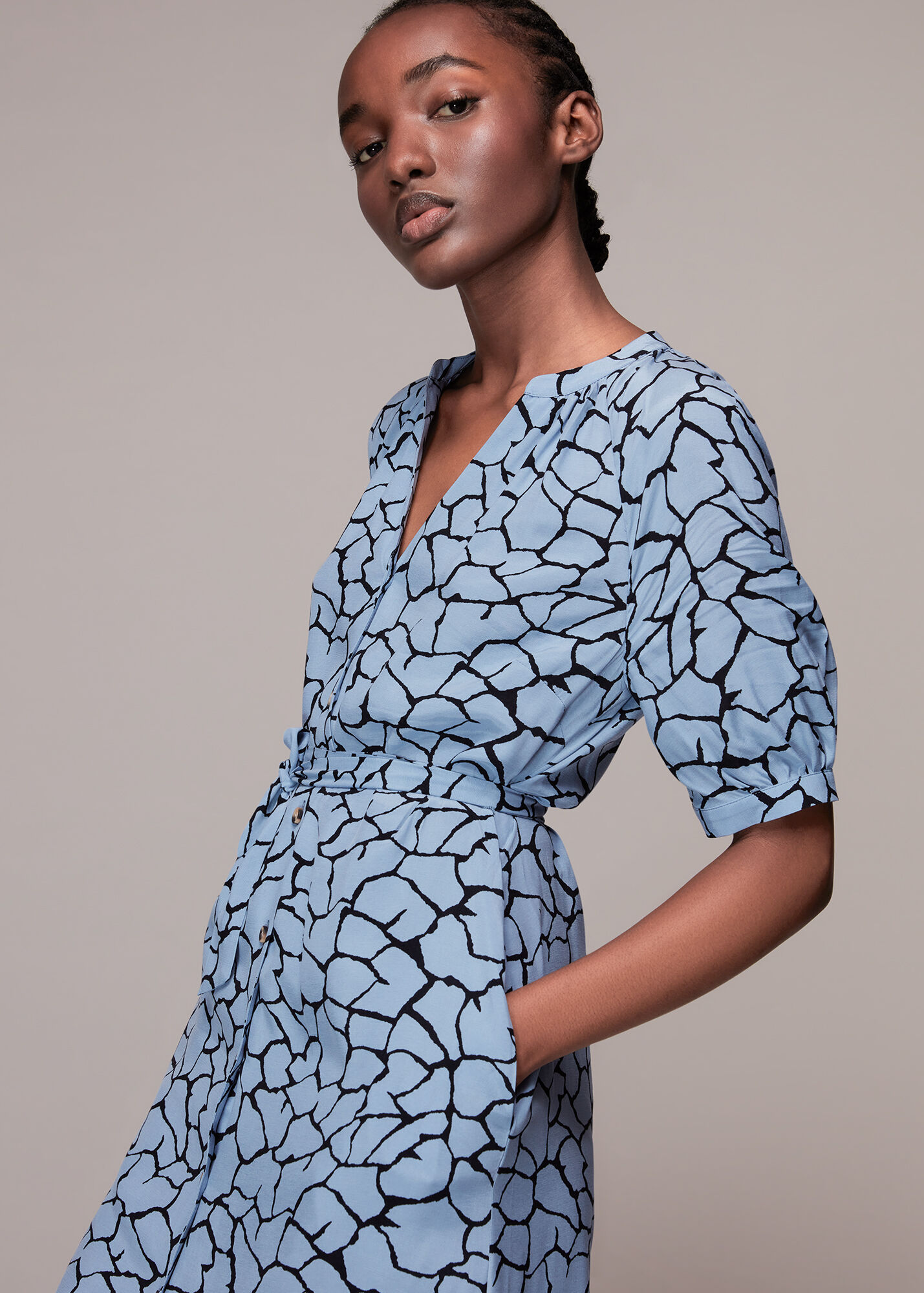 Blue/Multi Giraffe Print Olivia Dress WHISTLES