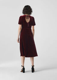 Vilimina Silk Mix Velvet Dress