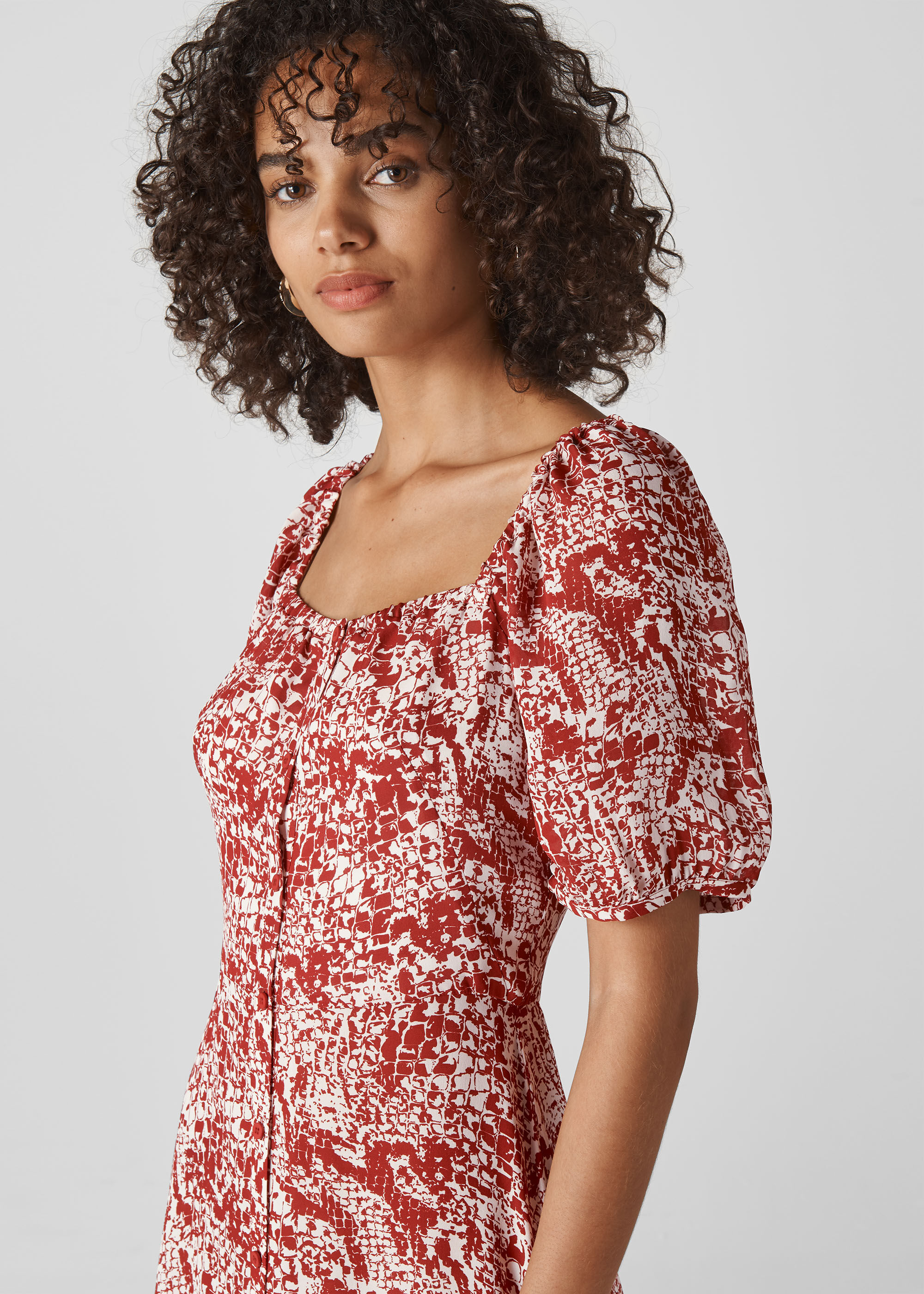 Snake Print Silk Dress