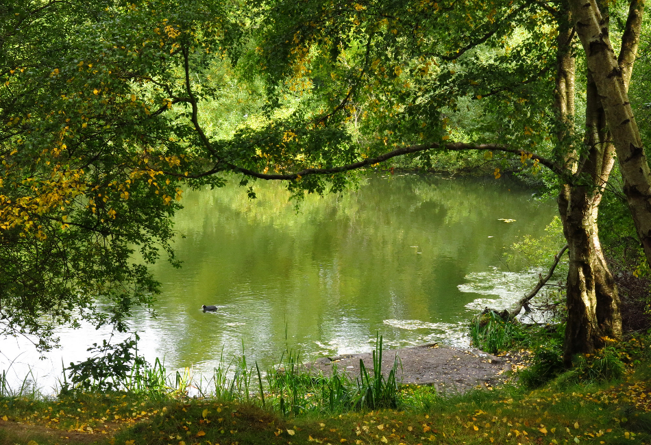 Whistles Neighbourhood King's Cross Inspiration WHISTLES