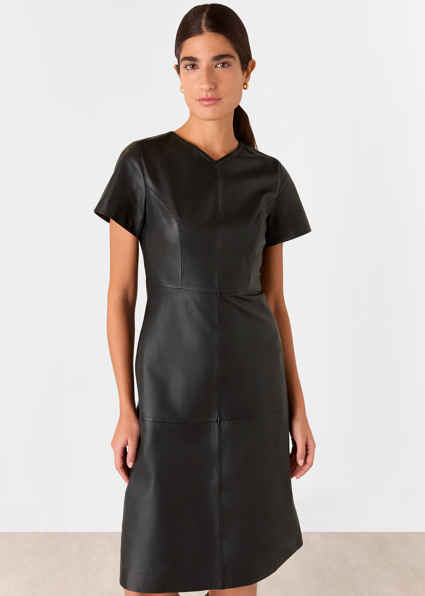 Whistles Women's Rosamund A Line Leather Dress