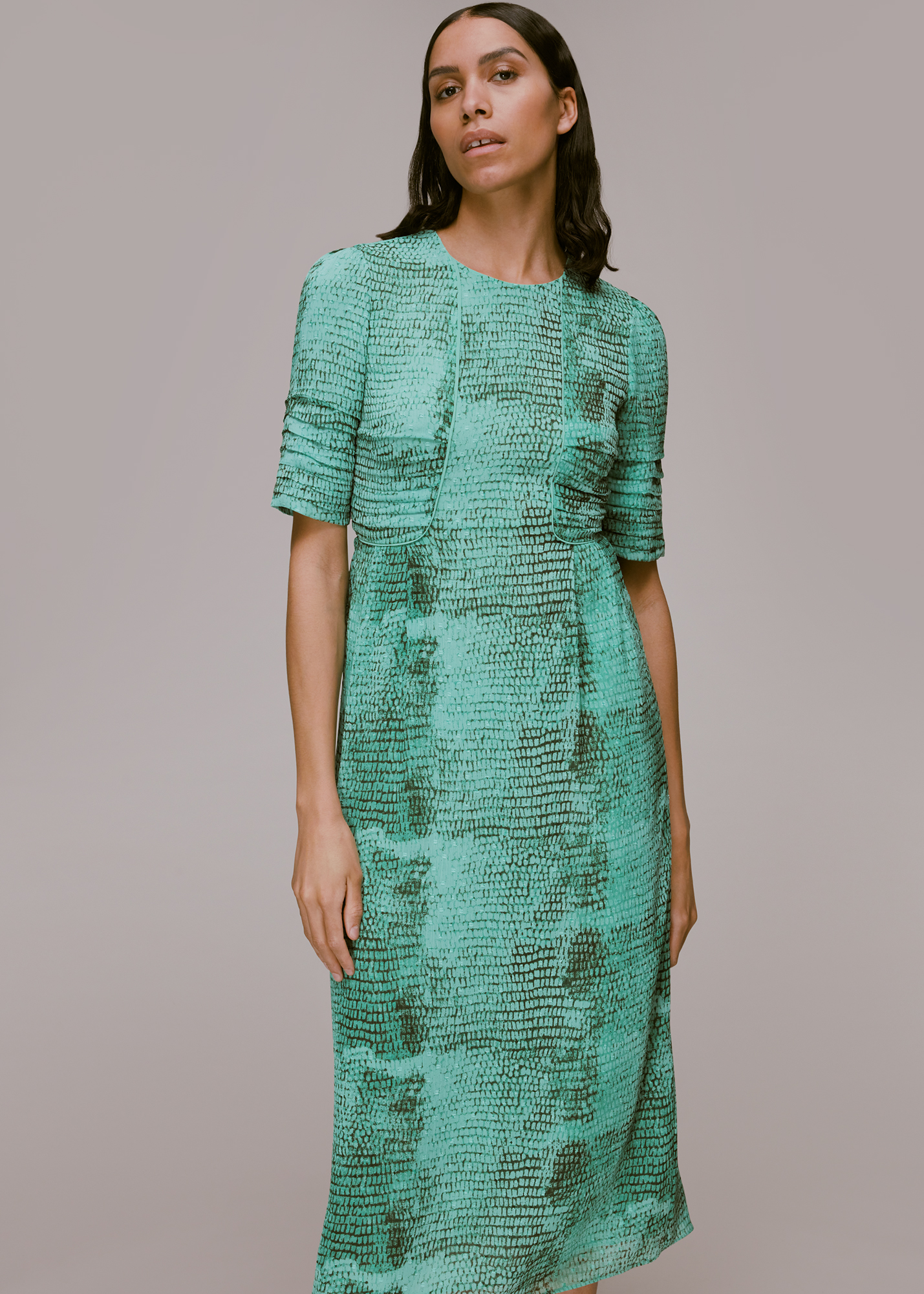 Whistles Women's Green/Multi Snake Animal Dobby Dress Size 6
